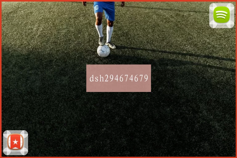 dsh294674679