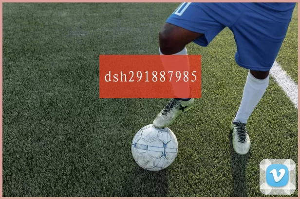 dsh291887985