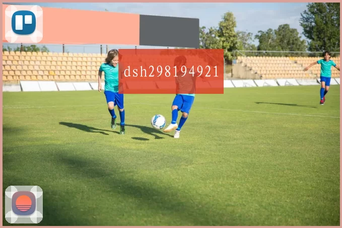 dsh298194921