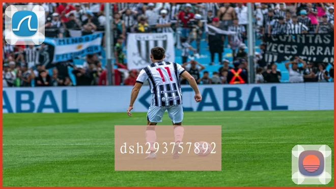 dsh293757892