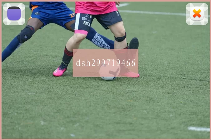 dsh299719466