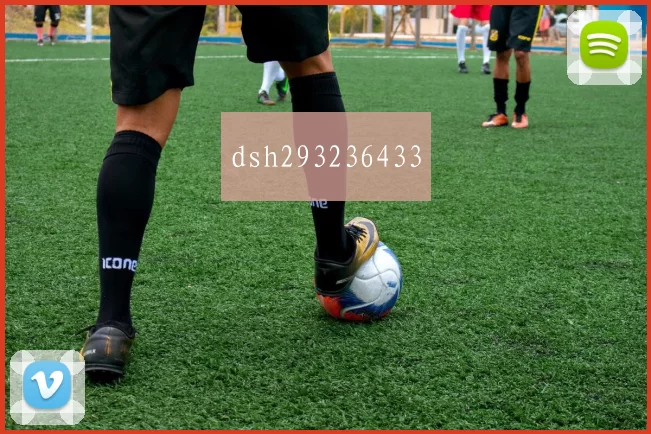dsh293236433