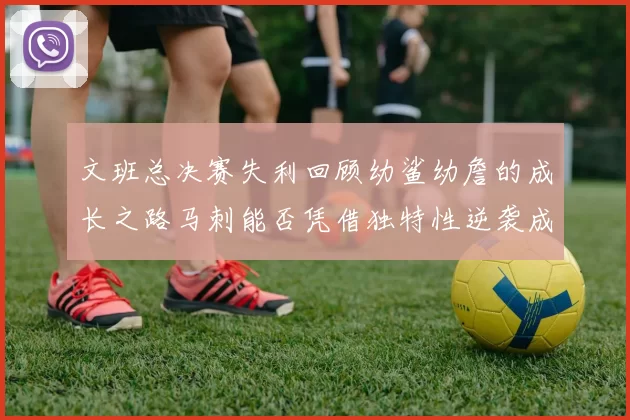 文班总决赛失利回顾幼鲨幼詹的成长之路马刺能否凭借独特性逆袭成功