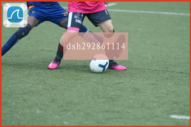 dsh292861114