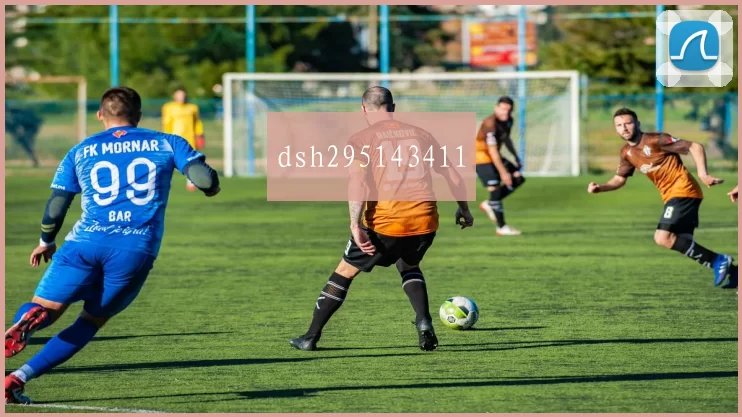 dsh295143411