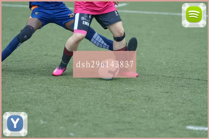 dsh296143837