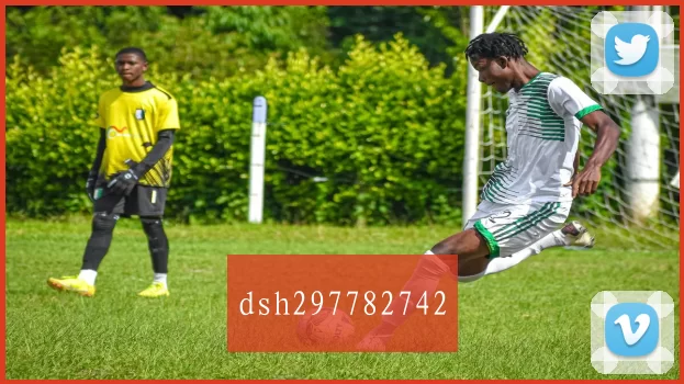 dsh297782742