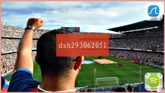 dsh293062051