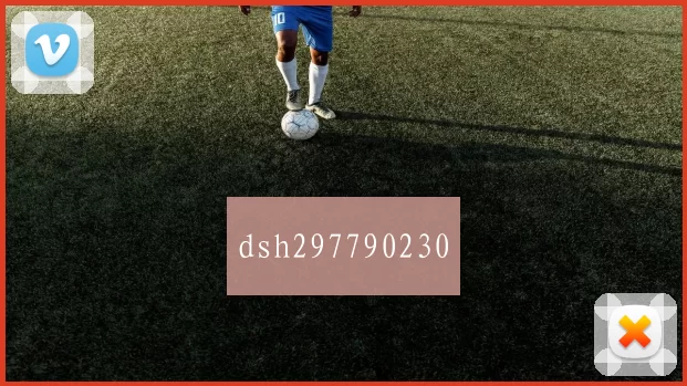 dsh297790230