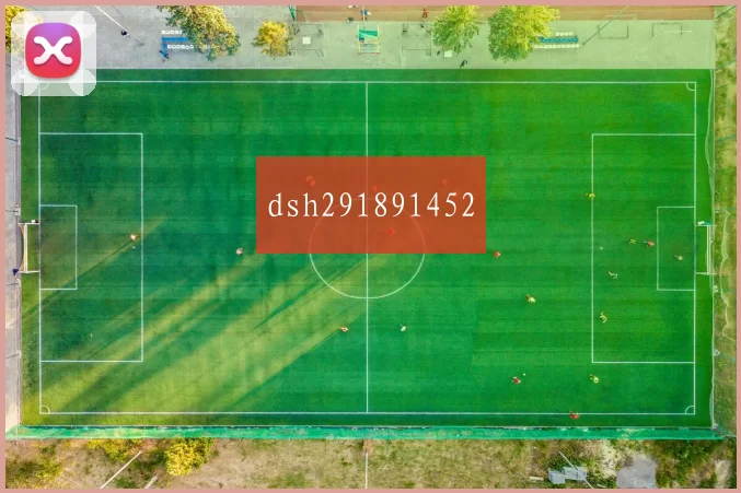 dsh291891452
